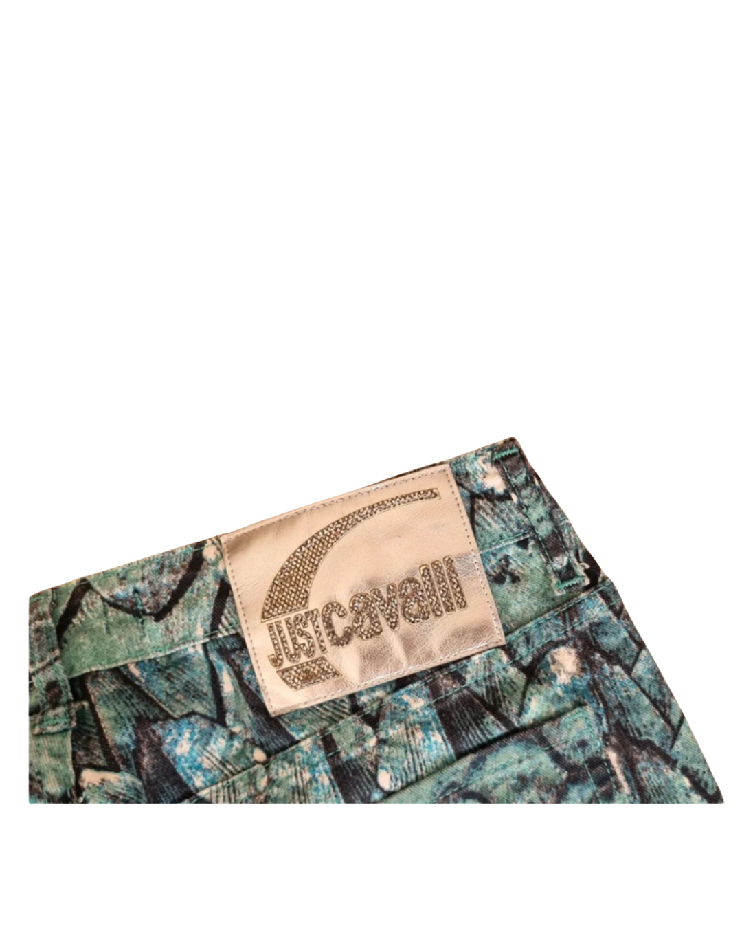 Robert Cavalli Fish Scale Turqoise Pants