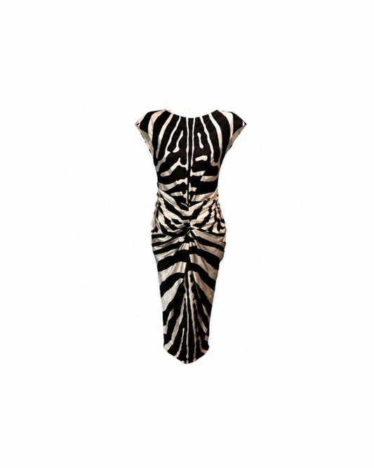 Christian Dior By John Galliano 2008 Silk Zebra Maxi Dress
