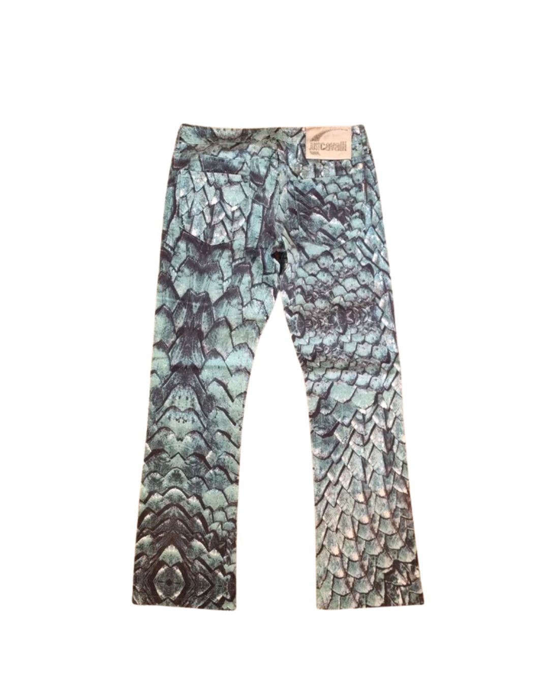 Robert Cavalli Fish Scale Turqoise Pants