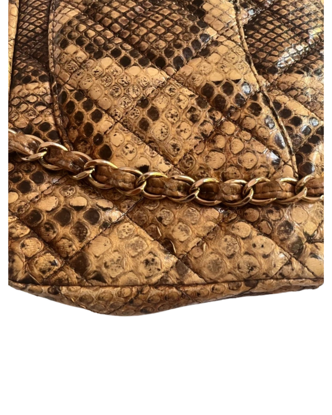 Chanel Python Small Flap Bag