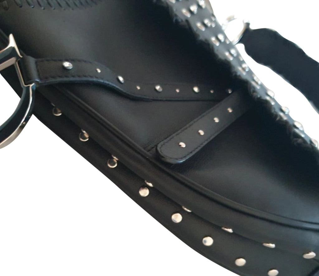 Christian Dior Crystal Studded Saddle Bag