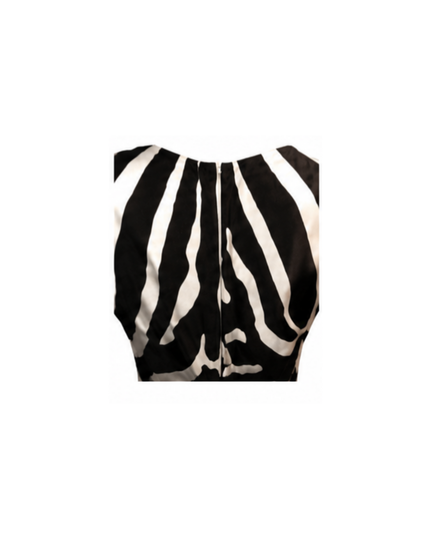 Christian Dior By John Galliano 2008 Silk Zebra Maxi Dress