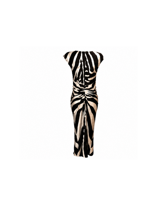 Christian Dior By John Galliano 2008 Silk Zebra Maxi Dress