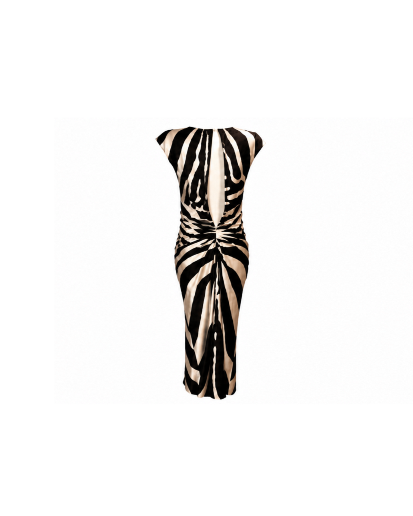 Christian Dior By John Galliano 2008 Silk Zebra Maxi Dress