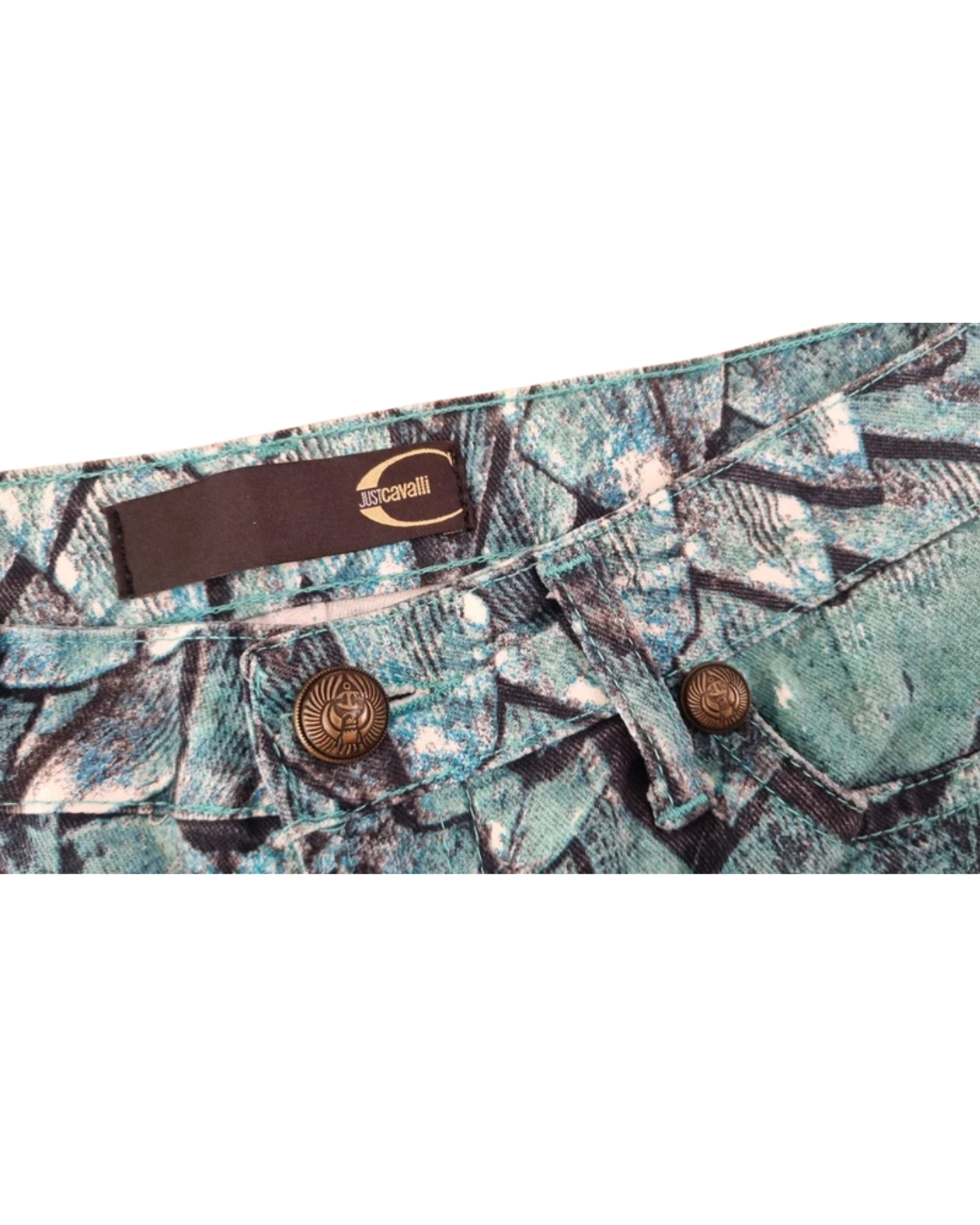 Robert Cavalli Fish Scale Turqoise Pants