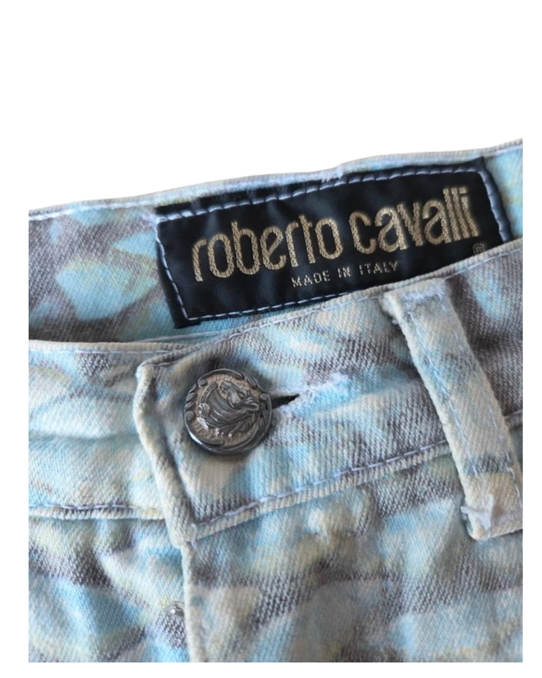 Roberto Cavalli Baby Blue Fish Scale Pants