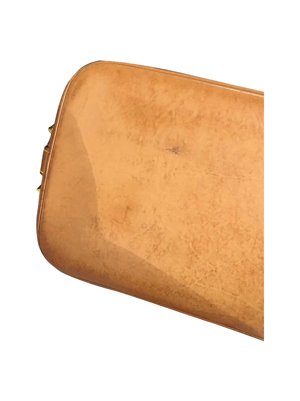 Louis Vuitton Takashi Murakami Alma MM Handbag