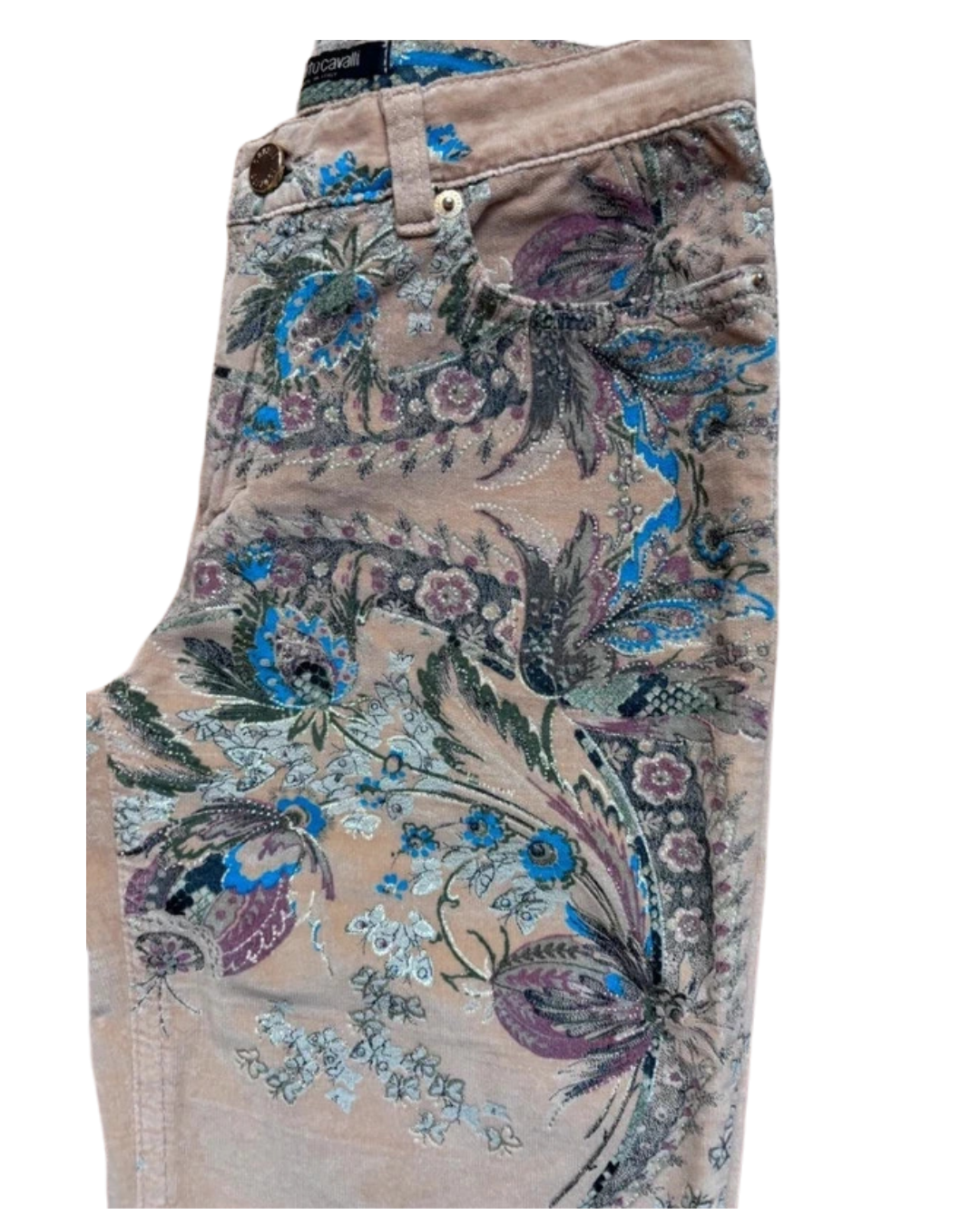 Roberto Cavalli Embroidered Pants