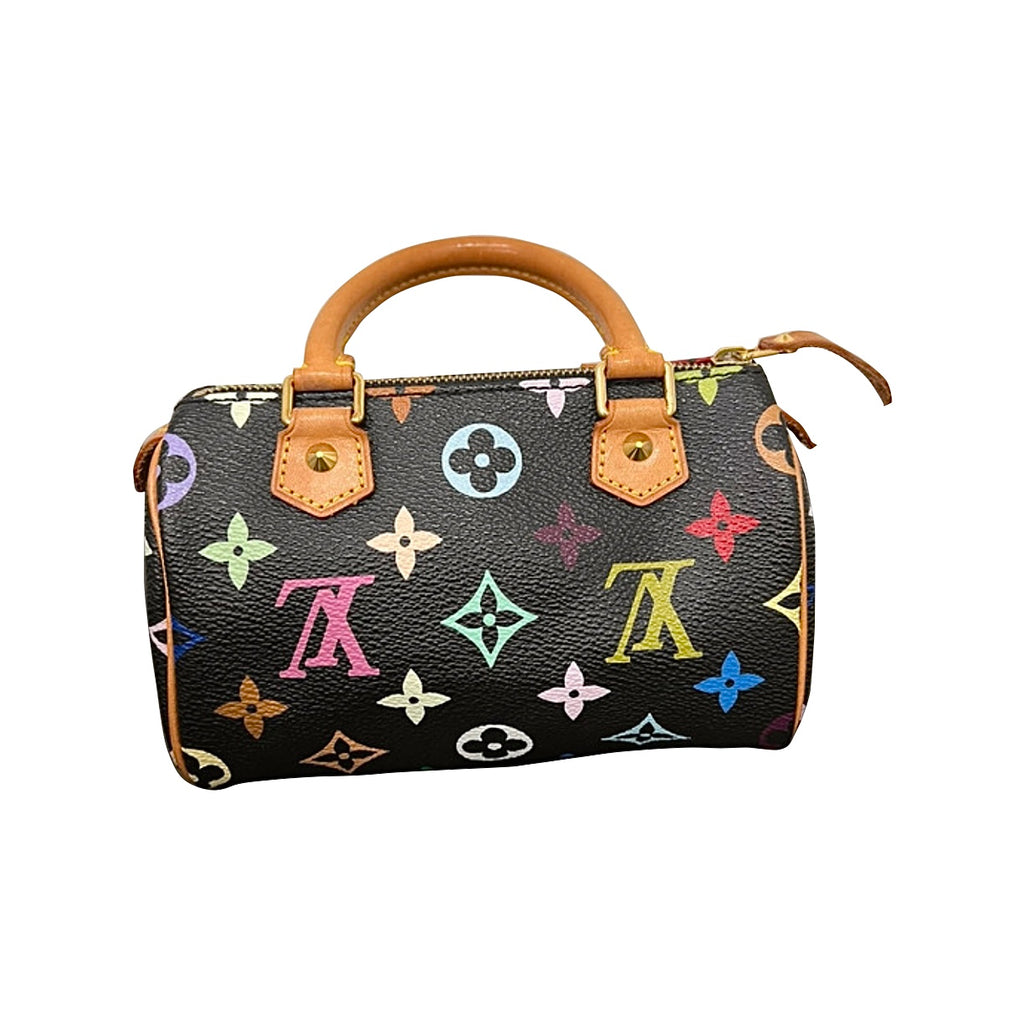 Louis Vuitton Takashi Murakami Nano Speedy Handbag