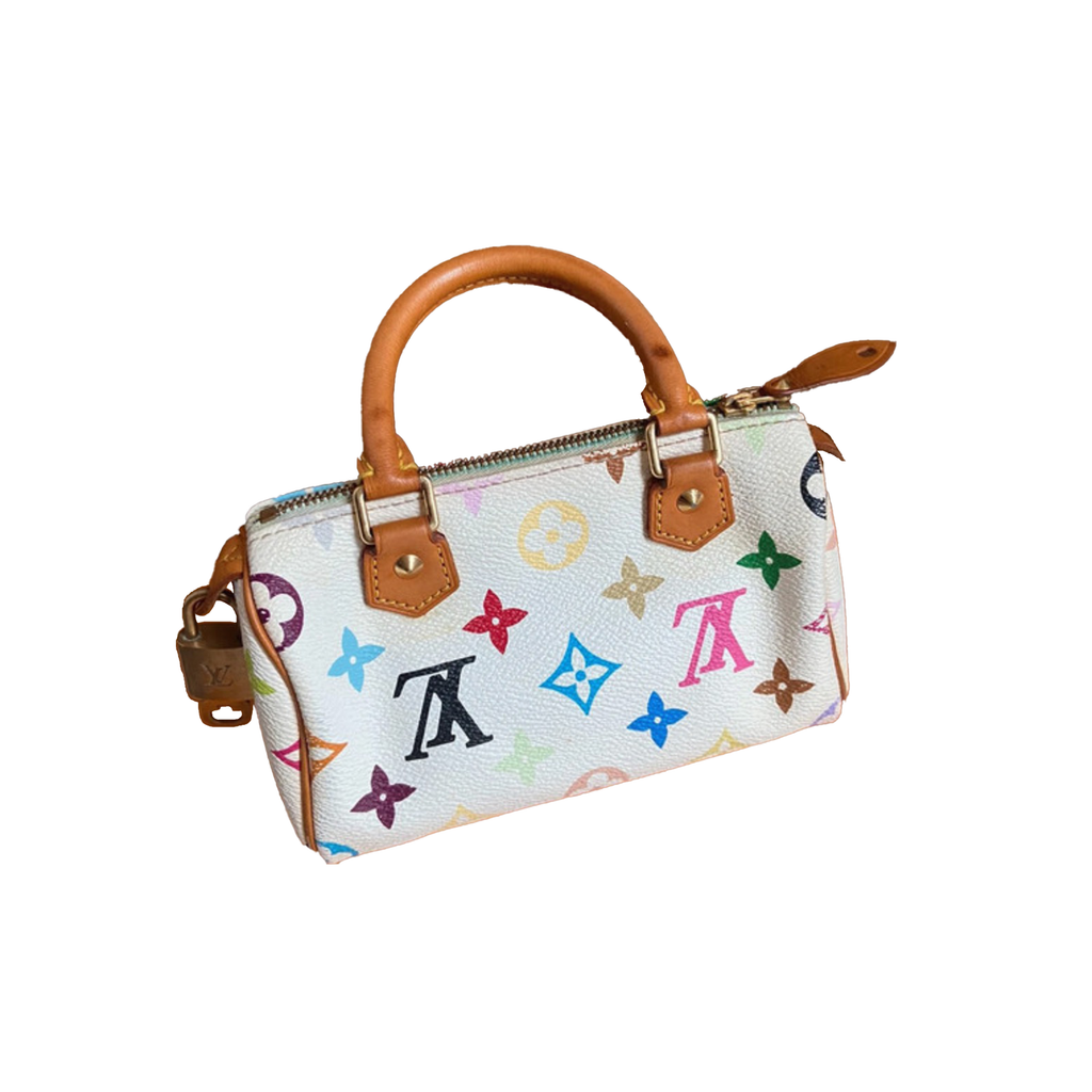 Louis Vuitton Nano Speedy by Takashi Murakami Handbag