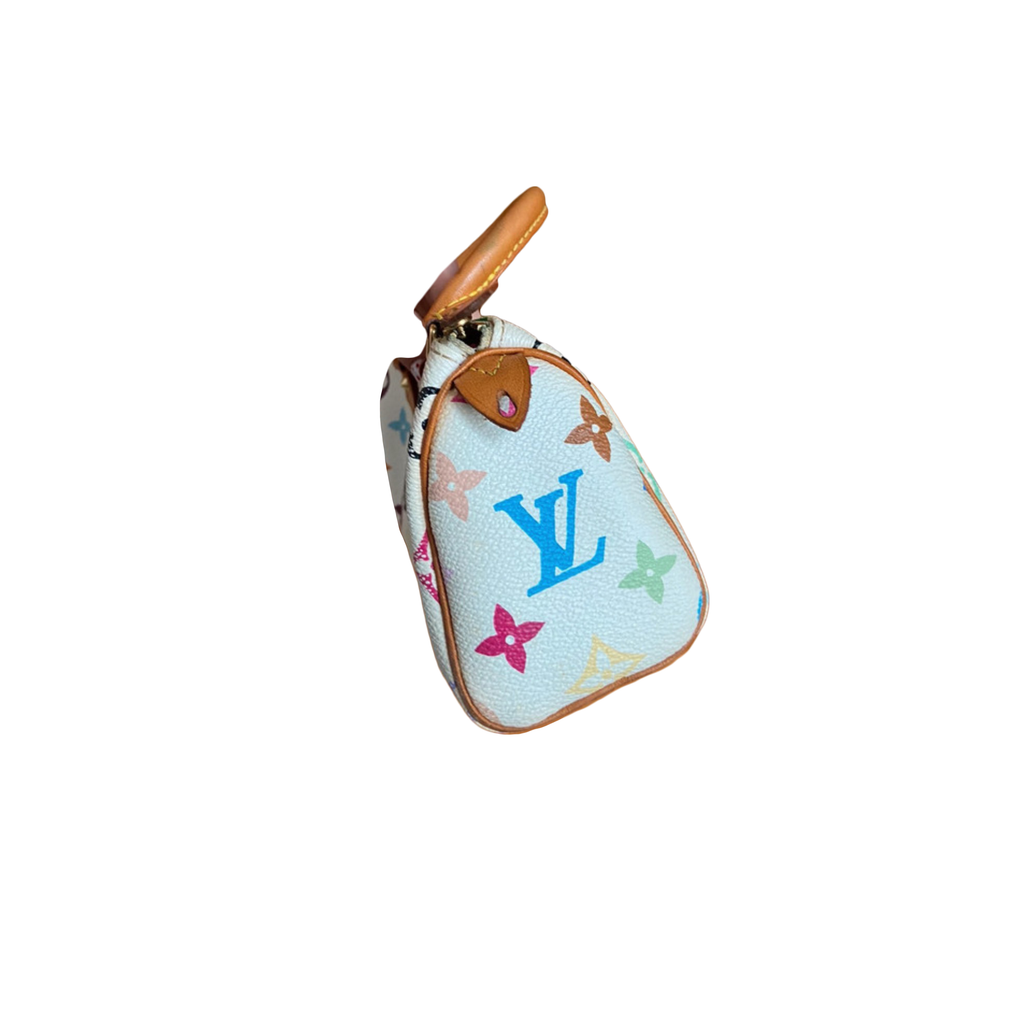 Louis Vuitton Nano Speedy by Takashi Murakami Handbag